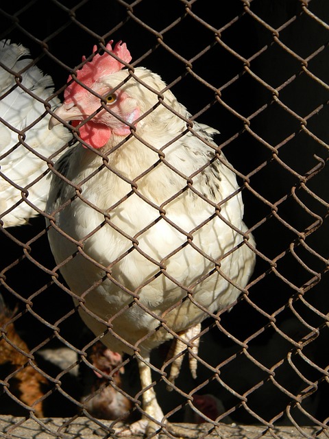 们强大的攻 们强大的攻