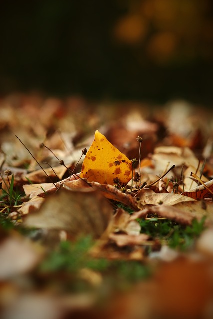 在赛季中 在赛季中