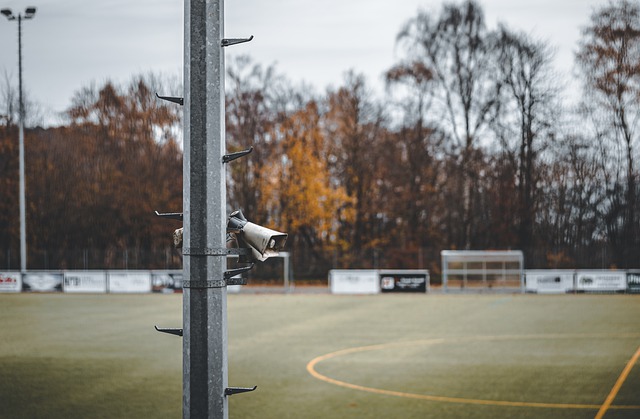 则提供了审 则提供了审