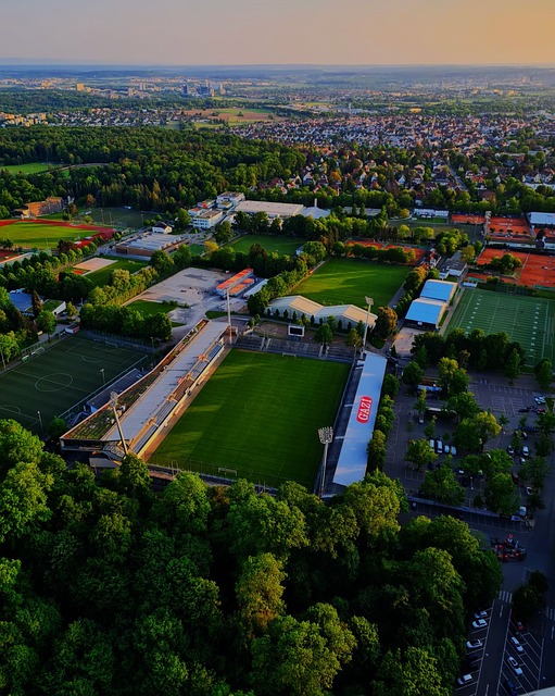 的执着与热 的执着与热