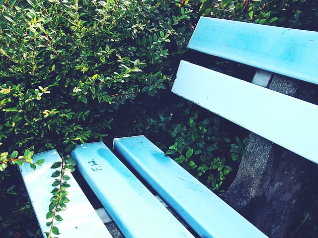 擇某支球隊 擇某支球隊