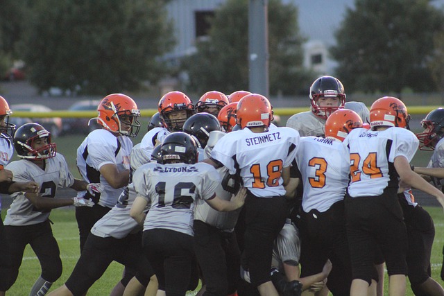 西部最新排名揭晓，湖人稳固领先，季后赛形势分析.