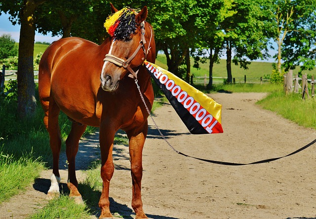 骑士替补新援亨特表现抢眼，成为顶级第六人？.