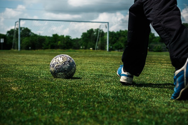 绿军的实力 绿军的实力