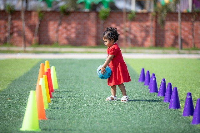 詹姆斯事件 詹姆斯事件