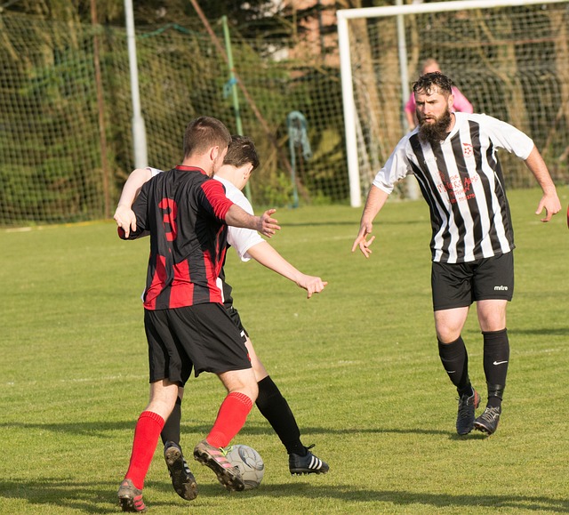 的方式团结 的方式团结