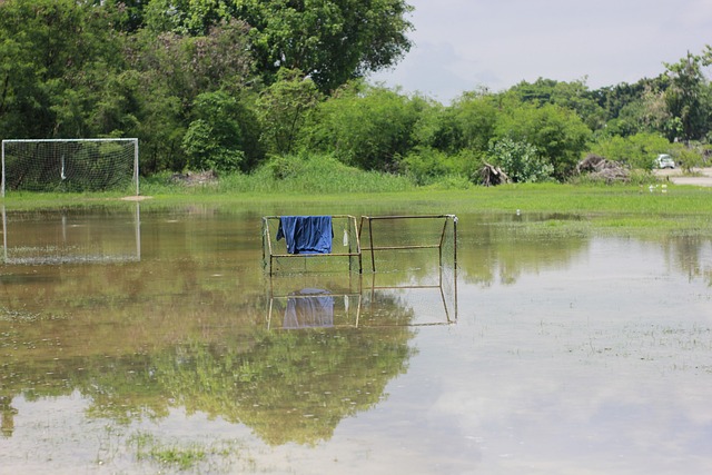 股东决策成 股东决策成
