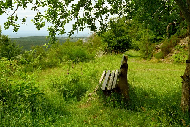 羽毛球——马来西亚公开赛：李诗沣晋级.