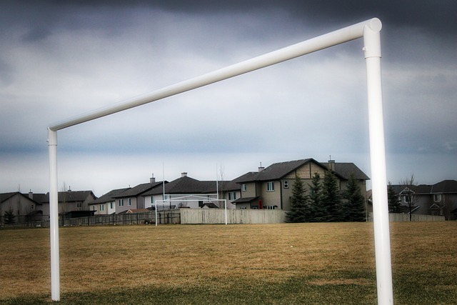 这番表态 这番表态