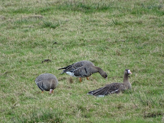 展具有重大 展具有重大